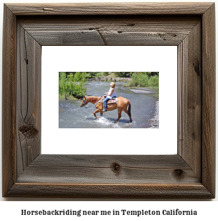 horseback riding near me in Templeton, California